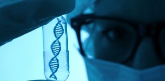 Jak przebiegają badania WES we Wrocławiu: Przewodnik dla pacjentów gyncentrum - gync badania genetyczne 1435.jpg