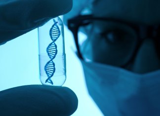 Jak przebiegają badania WES we Wrocławiu: Przewodnik dla pacjentów gyncentrum - gync badania genetyczne 1435.jpg